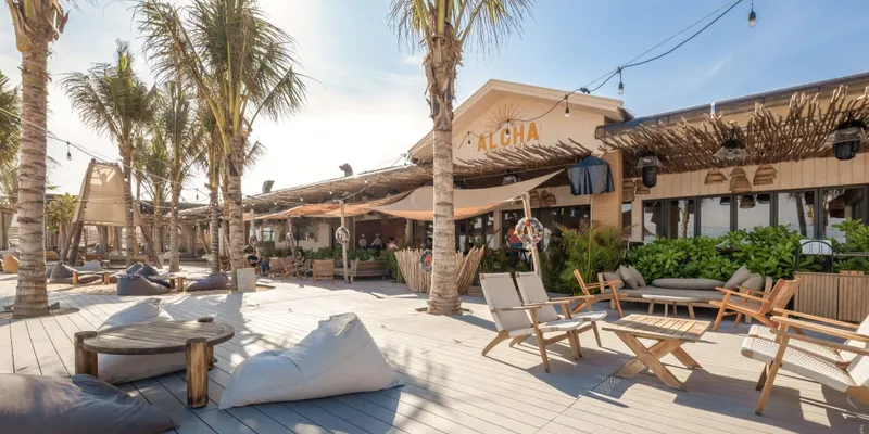 Sân gỗ trắng với hàng cọ của Aloha Beach Club