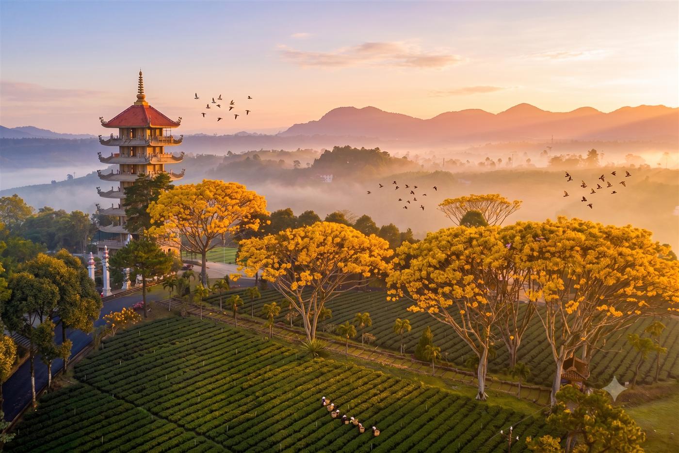 Tu Viện Bát Nhã Bảo Lộc: Chốn Thiền Môn Thanh Tịnh Giữa Đồi Chè Xanh