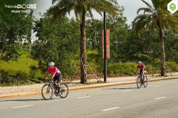 Người đi xe đạp trên đại lộ nội khu NovaWorld Phan Thiết, hai bên trồng dừa và cây xanh, mặt đường nhựa rộng nhiều làn